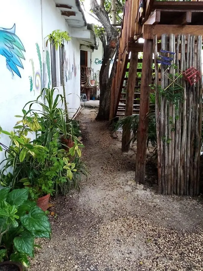 Apartment Cabana Hermosa Centrica Y Comoda Isla Holbox
