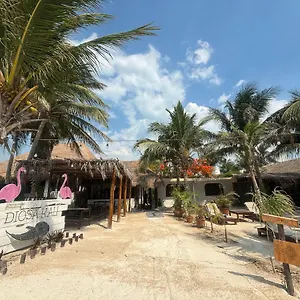 La Diosa Kali Front Holbox